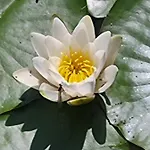 Dhamma-retreat In * Берлин