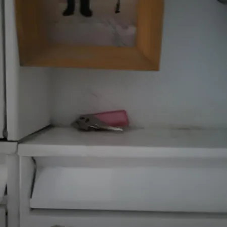 Dhamma-retreat In * 베를린