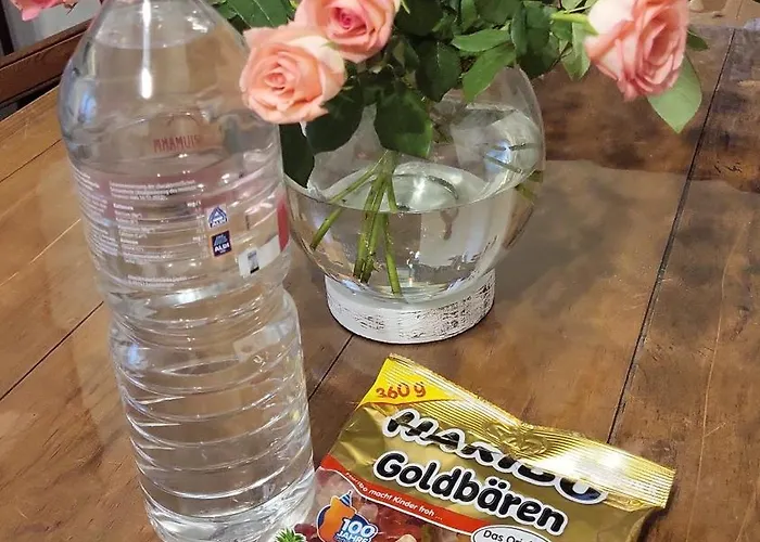 Daire Dhamma-retreat In