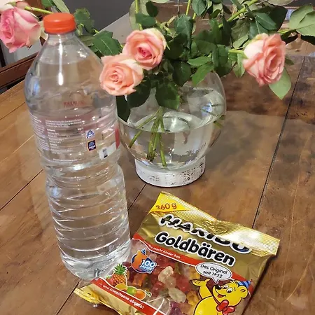 Daire Dhamma-retreat In